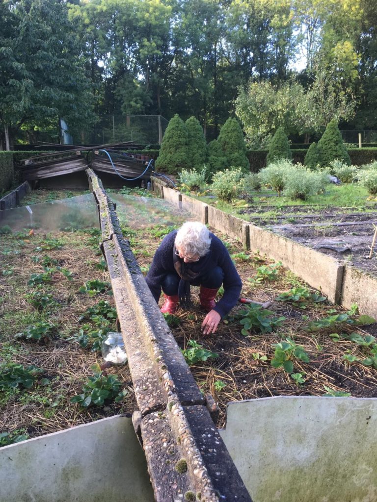 Vrijwilliger moestuin | Landgoed Vrederijk