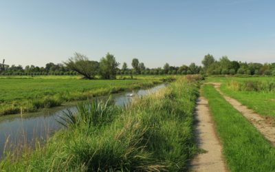 Ontdek nieuwe natuur in de Hollandse Waterlinie