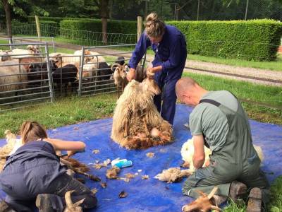 Nieuwe activiteit: workshop vachtvilten