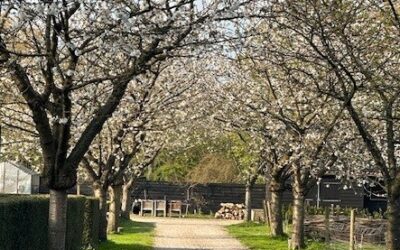 Lente-proeverij op landgoed Vrederijk 10 mei 2026